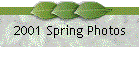 2001 Spring Photos