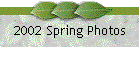 2002 Spring Photos